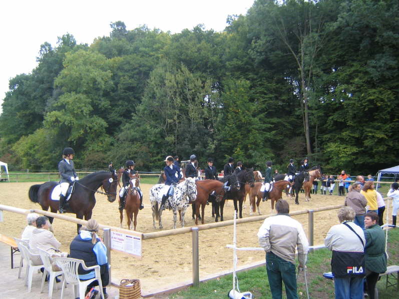 Jugendreiterwettbewerb